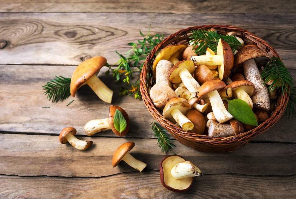SaboreandoCan's tweet photo. La Sép7ima saluda la temporada de otoño-invierno con una jornada de 10 días dedicada a las #castañas y las #setas 🌰🍄 en las que el Chef Pau Bermejo ha elaborado un #menú de ocho platos  y otro menú “degustación”.

https://t.co/FwTZWhRHWA https://t.co/vz4ZubI5uU