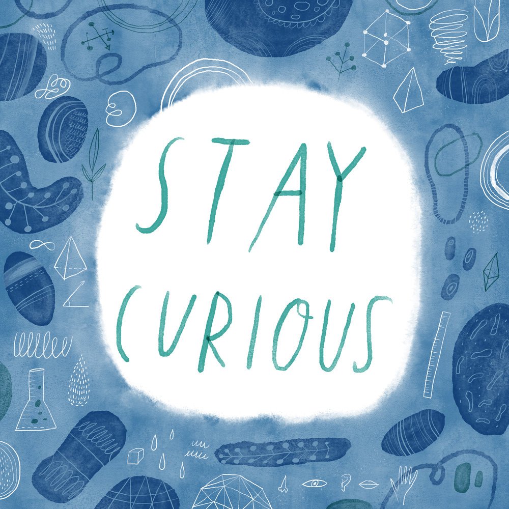 actionhappiness's tweet photo. Stay curious

#NewThingsNovember https://t.co/wfRaA5H3nD