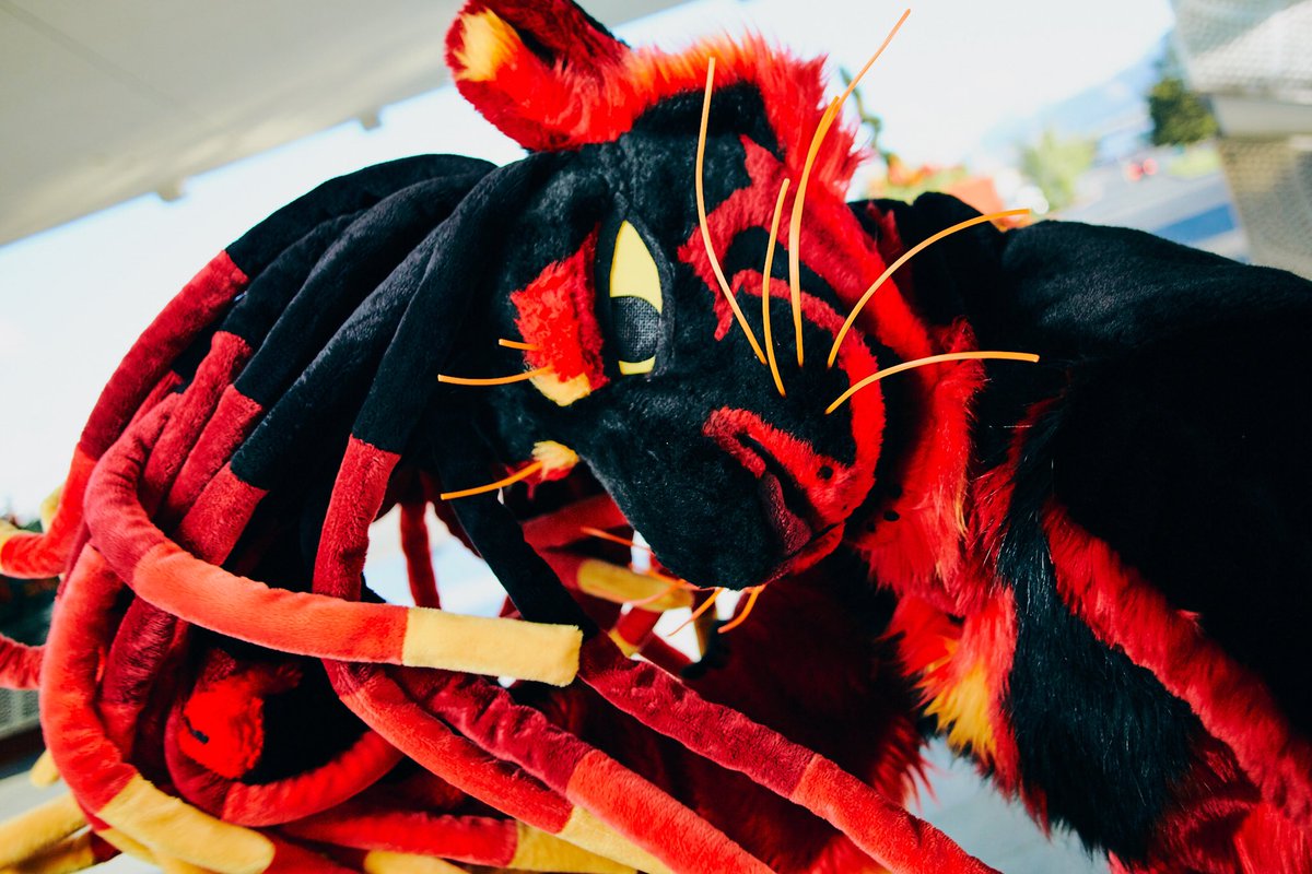 aymstel's tweet photo. Reh. Photo by @dougthehusky https://t.co/REOJFexKpc