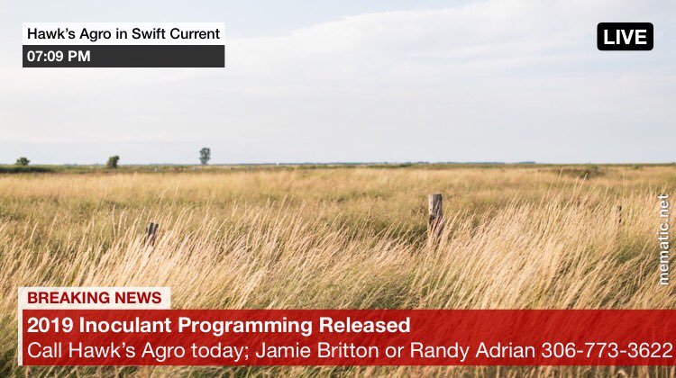 Jamie Britton tweet media