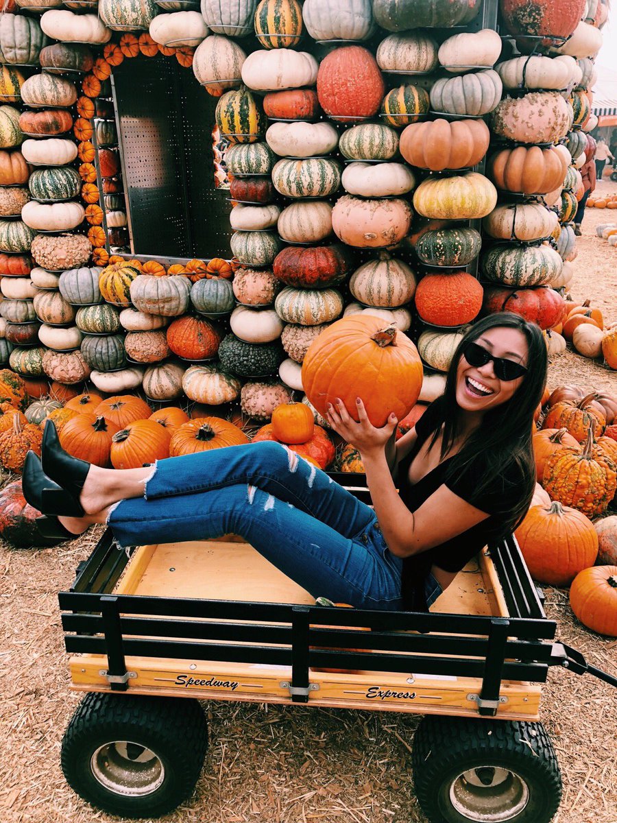 SigmaKappaSLO's tweet photo. Wishing everyone a great Thanksgiving break! 🤩🍂 https://t.co/xobDbkq9z7