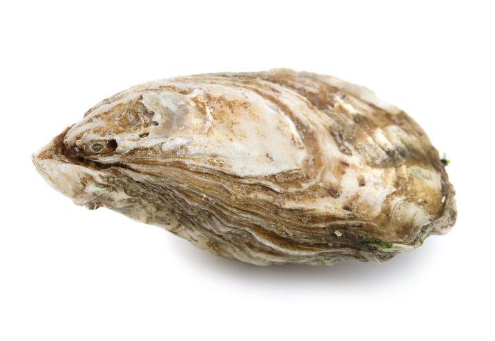 People Love Oysters, But Their Population In The Gulf Of Mexico Has Been Decimated buzzfeednews.com/article/veness… via @venessawwong