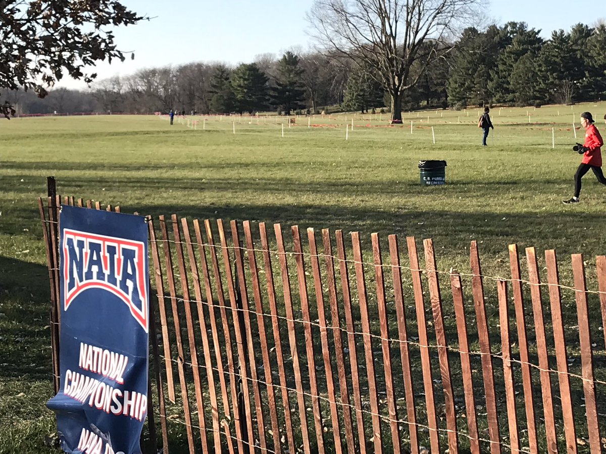 Cleary University Cross Country tweet media