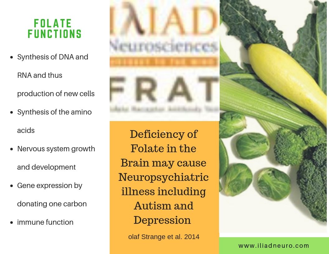 IliadFRATtest's tweet photo. #Folate #CFD #Autism #depression #psychaitry https://t.co/N1bteoa4eq