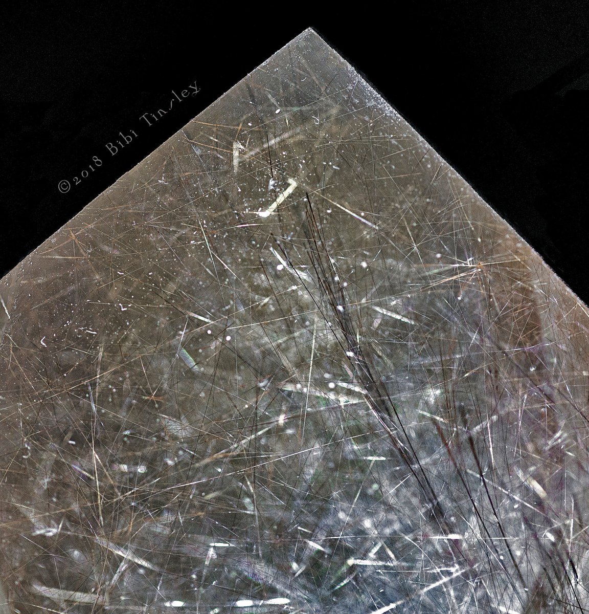 bibitinsley's tweet photo. The #crystals are asking to pose again! Joy!🌻 #Tourmalinated or #rutilated #quartz is a powerful deflector of negative #energy, and holds the amplification and coherency of clear #quartz. #Piezoelectric #energetics #resonance #rocksandminerals https://t.co/Fan3RHwZL7
