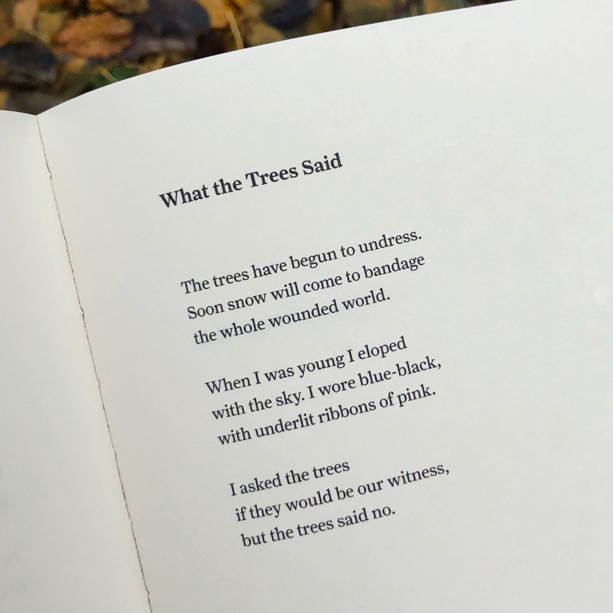 CopperCanyonPrs's tweet photo. "When I was young I eloped
with the sky."

CHASE TWICHELL, from THINGS AS IT IS. https://t.co/jKe1r6aCGt