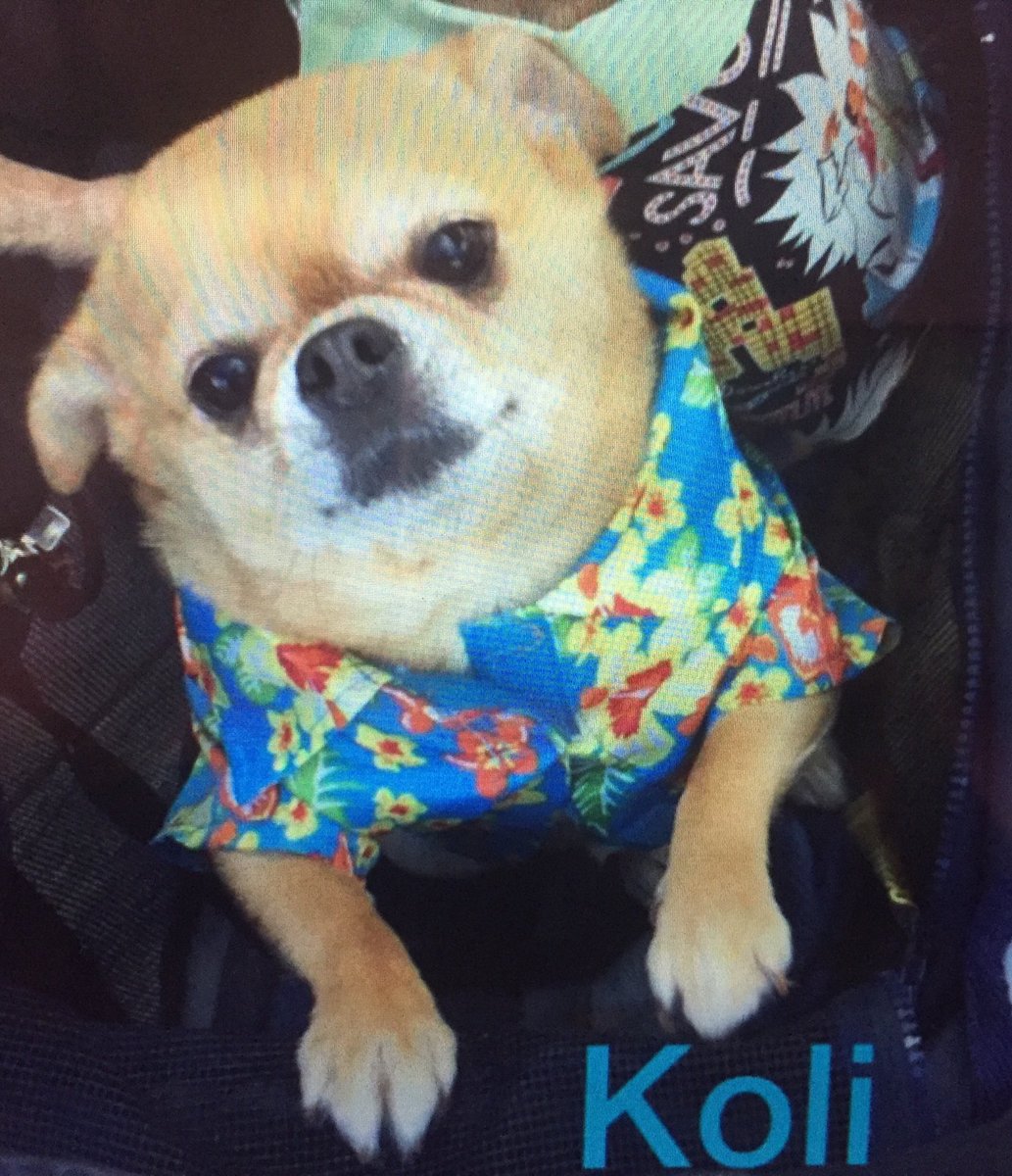 minnimascot's tweet photo. https://t.co/c0q8FCu8qY