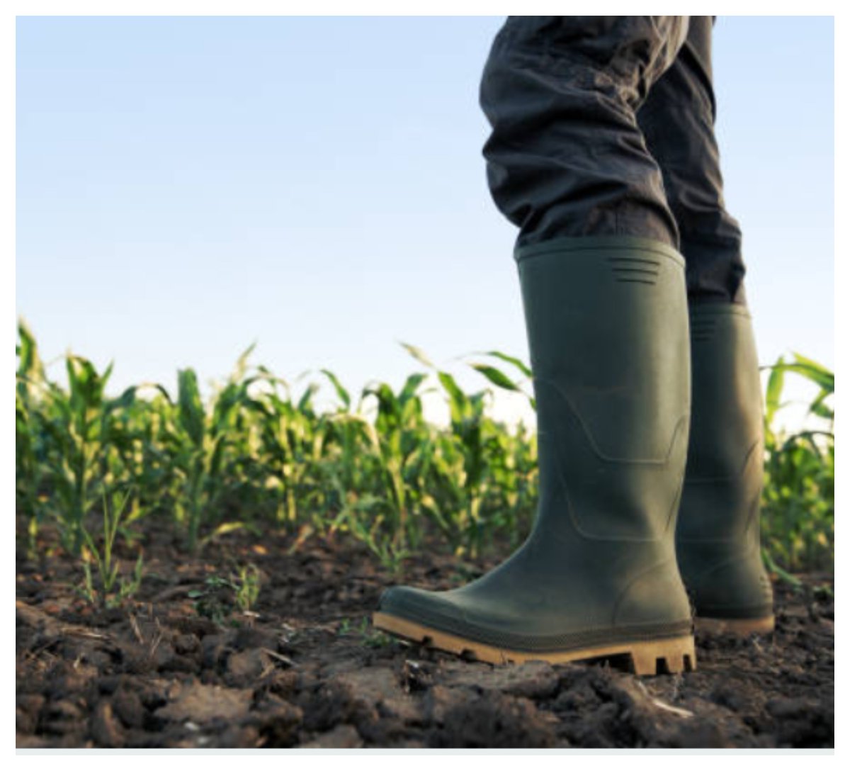 CA_PesticideReg's tweet image. #DPR takes important step to further protect people from #pesticide chlorpyrifos… New recommendations include no aerial spraying and buffer zones… See details at bit.ly/2OMuCT9