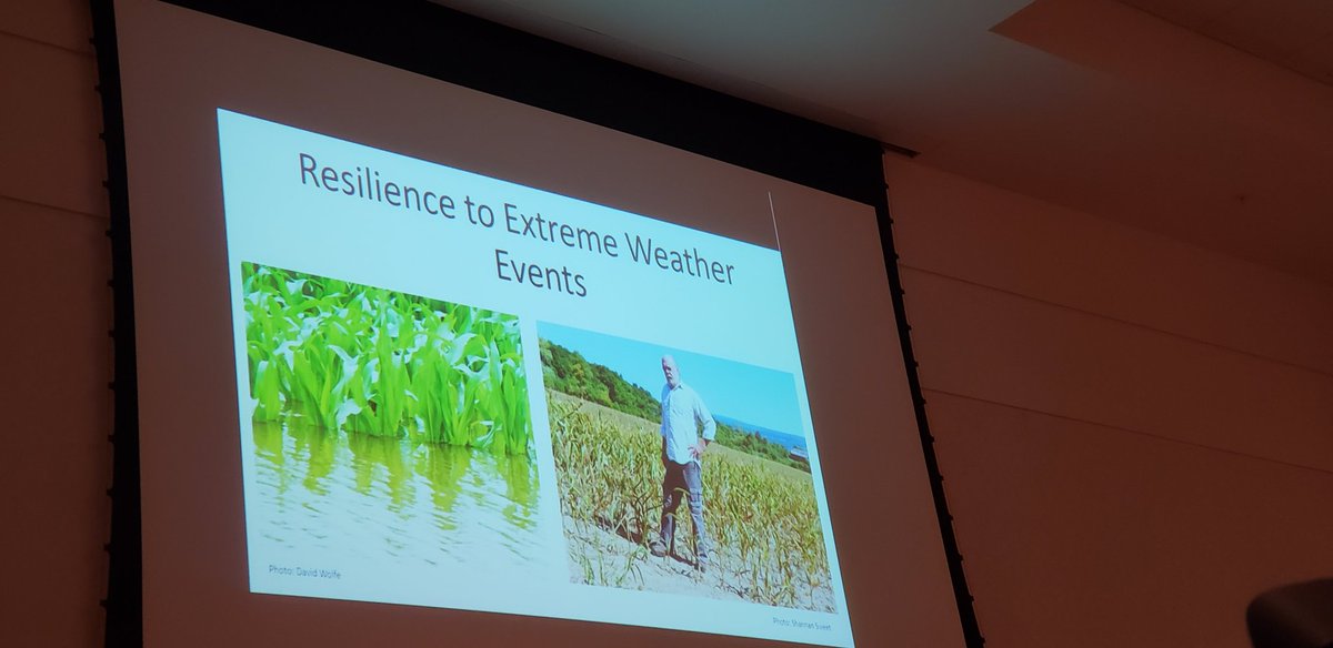 #covrcrops are finding resilience in extreme weather conditions like flooding or drought. #mycovercrops are doing good on my farm!