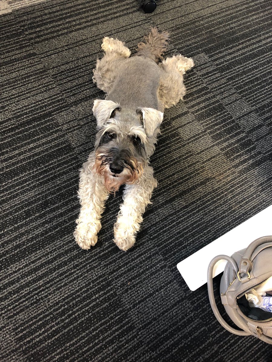 My favourite workmate ❤️❤️