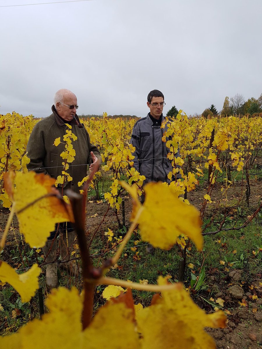 LevinMbe's tweet image. Delighted with our Oisly vineyard, planning for @Levinwines 2019 vintage with Manu.