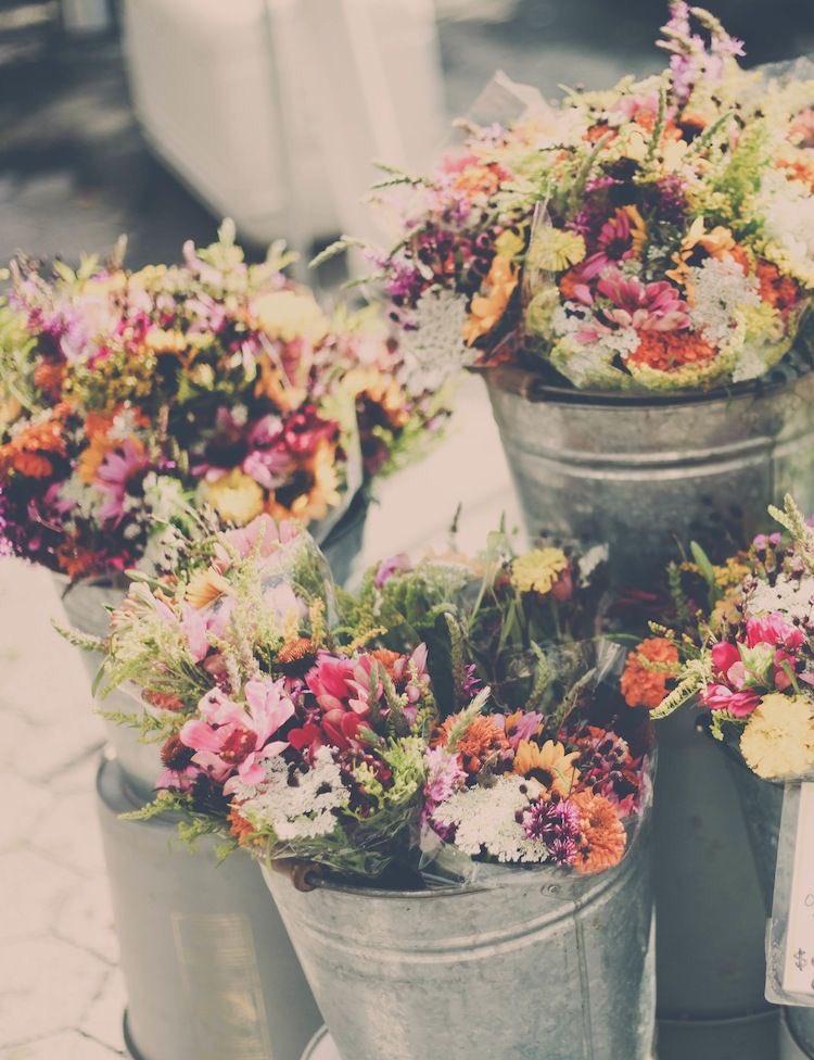 Sends flowers to <a href="/ReignOfABastard/">Klaus Mikealson</a>.

“ N : Happy day. Love, C. “