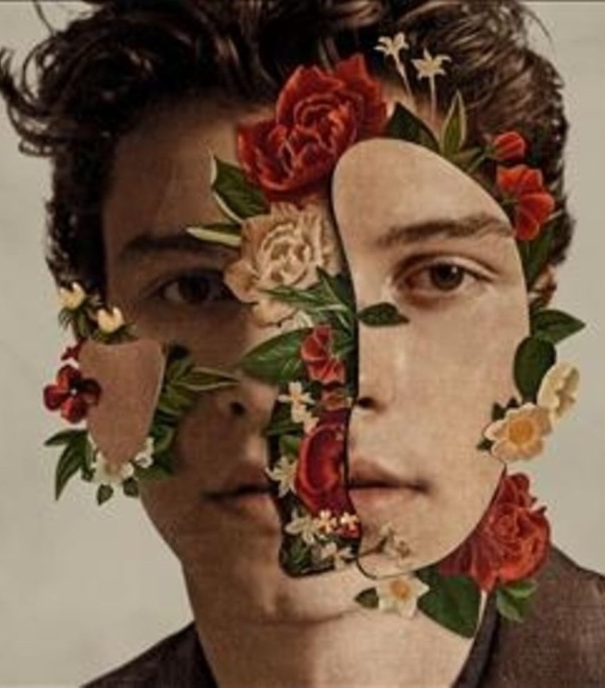 9. Shawn Mendes - Shawn Mendes