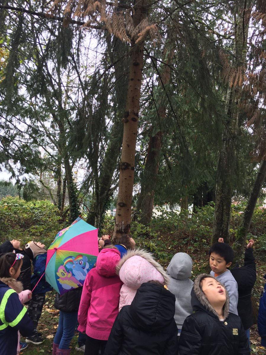 WonderandEd's tweet photo. We went looking for animal habitats. Before doing so we talked about what we were going to learn (about animal houses), how we would know we learned it (we can id an animal house) and that we would do this so we could become friends with animals and not wreck animal houses! https://t.co/lo4Z4D6gEw