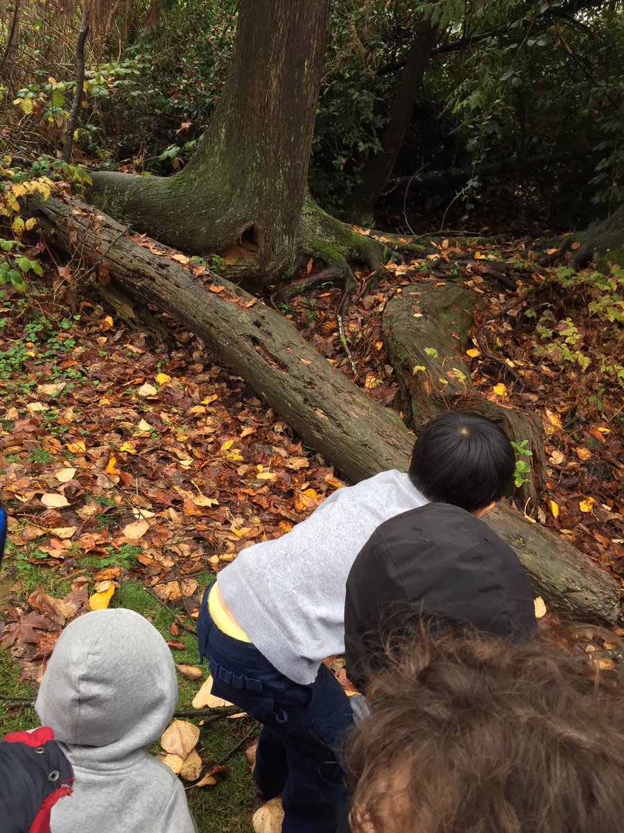 WonderandEd's tweet photo. We went looking for animal habitats. Before doing so we talked about what we were going to learn (about animal houses), how we would know we learned it (we can id an animal house) and that we would do this so we could become friends with animals and not wreck animal houses! https://t.co/lo4Z4D6gEw