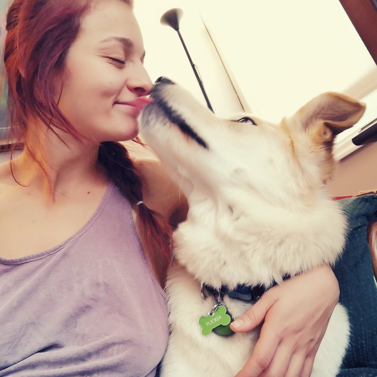 TuckerBailey101's tweet photo. Love you Momma 💕

#tucker #dog #doggie #twitterdog #furmomma #love https://t.co/PlA6f4Stup