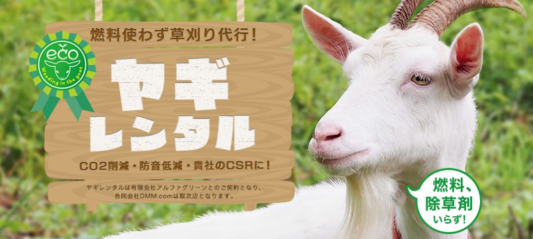 セメダイン ザーボンさん ドドリアさん 食べておしまいなさい