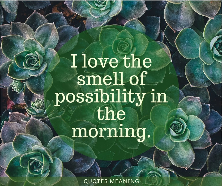 quotesmeaning18's tweet photo. Fantasy hats give you the possibility to dream....
#smellofpossibility #earlymorning #puffyeyes #sleepyme #yetsmiling #freshstart #nevergiveup #positivity#thesmellofcoffee #inthemorning #4am #fantasy #love #smell #morning #joy #happiness https://t.co/1ajnuKBQpK