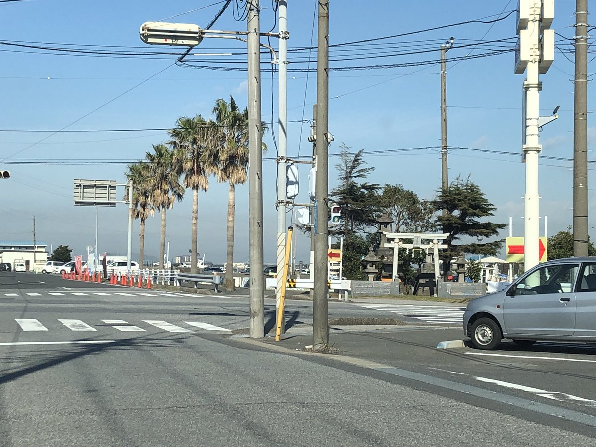 浄法寺亘 障がい者の創るバイリンガル絵本プロジェクト推進中 V Twitter 木更津市で打合せでした 関東ではあまり見られない南国風の風景です でも ヤシの木に見えるのはシュロの木なんですよね ちなみにアクアラインのおかげで木更津駅から品川駅まではバスで1