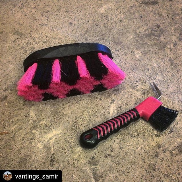 DeckerMfgCo's tweet photo. Majestic brush in hot pink! #Repost @vantings_samir
• • • • •
💗💗 #hoofpick #brush #grooming #groom #hovrenser #børste #horsebrush #mactching #pink #like #love #horse #horses #black #hest #heste #equine #equestrian #equinephotography #equestrianpr… https://t.co/3NEARgwdgr https://t.co/LWNqh808wR