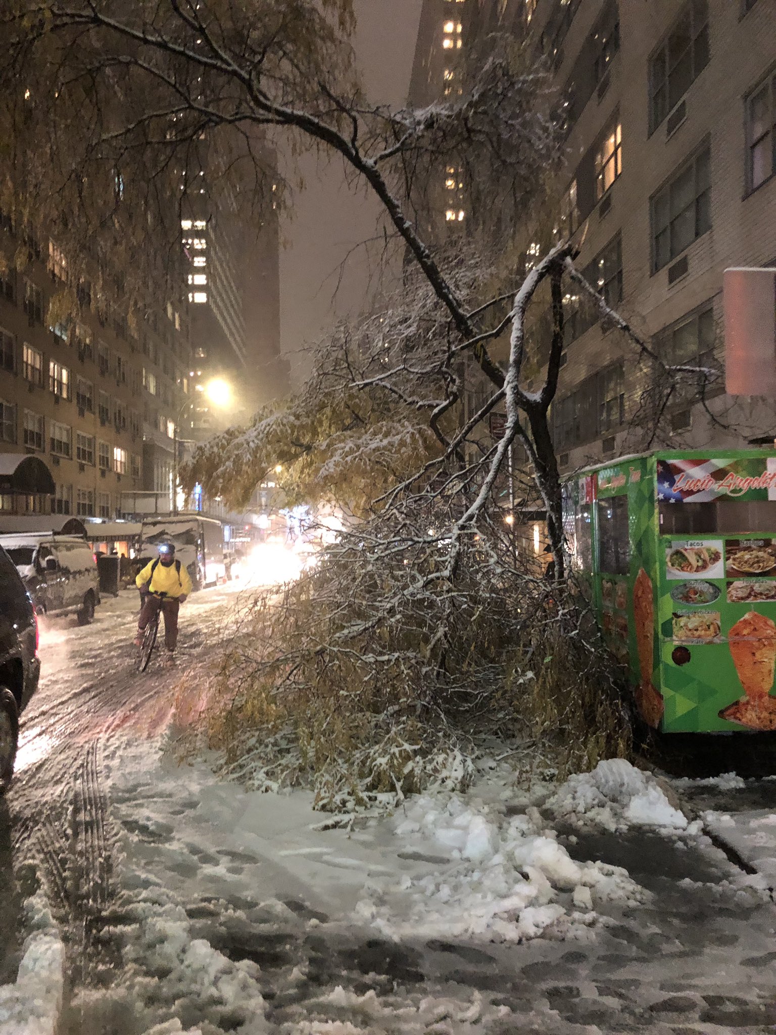 Max Golembo On Twitter Manhattan Nyc Today Heavy Snow And Fall Foliage Don T Mix