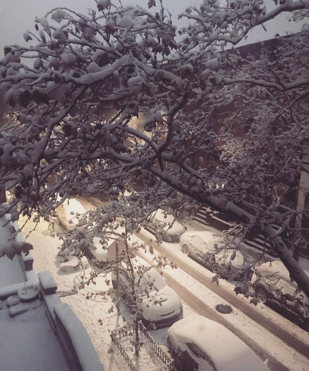 GossipRoomOff's tweet photo. Les premiers flocons de neige sont là à New York 😍🗽❄️ https://t.co/qvcznbN30O