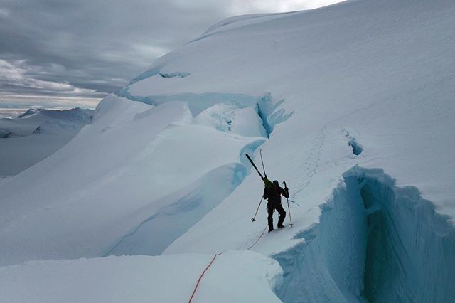 borgeousland's tweet photo. What a giant maze of crevasses! 📷 @vincentcolliard
•
❄️
•
🗻
•
⛺️
•
#adventureislife #exploremore #nordicskiing #discover #nature #outdoors #Alaska #outdoorphotography #adventurephotography #preservation #conservation #norrona #helsport #welcometo… https://t.co/loO8DOK9LJ https://t.co/GxARV0IW09