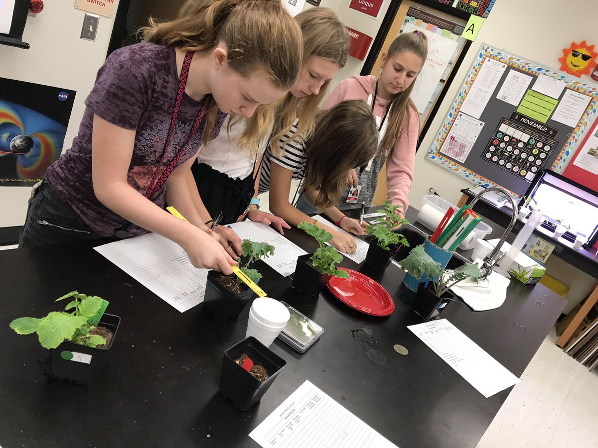 MrsHeatherTully's tweet photo. Final harvest! Nobody was happy about cutting our beloved plants, but this is how science is done. @GrowBeyondEarth @DonEstridgeHTMS https://t.co/wwhhEoj6iE