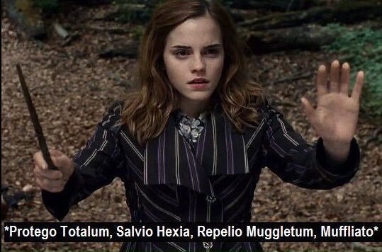 Hogwartssite's tweet photo. Comparte esta Hermione para protegerte de los spoilers de "Animales fantásticos: Los crímenes de Grindelwald" https://t.co/hsDdMvP4q9