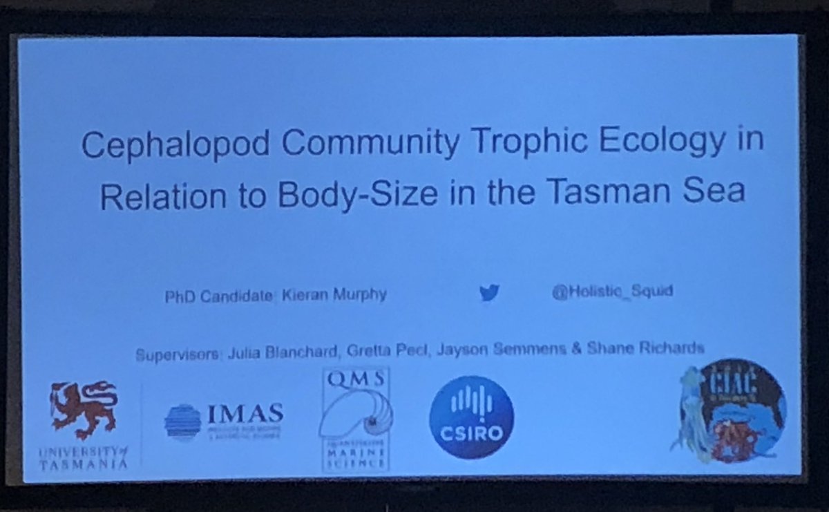 GrettaPecl's tweet photo. Cephalopods, body size &amp; tropic level- @Holistic_Squid &amp; @BlanchardJulia from @IMASUTAS at @cephCIAC conf @CIAC_2018. #CIAC2018 https://t.co/Q2iKmts4Ds