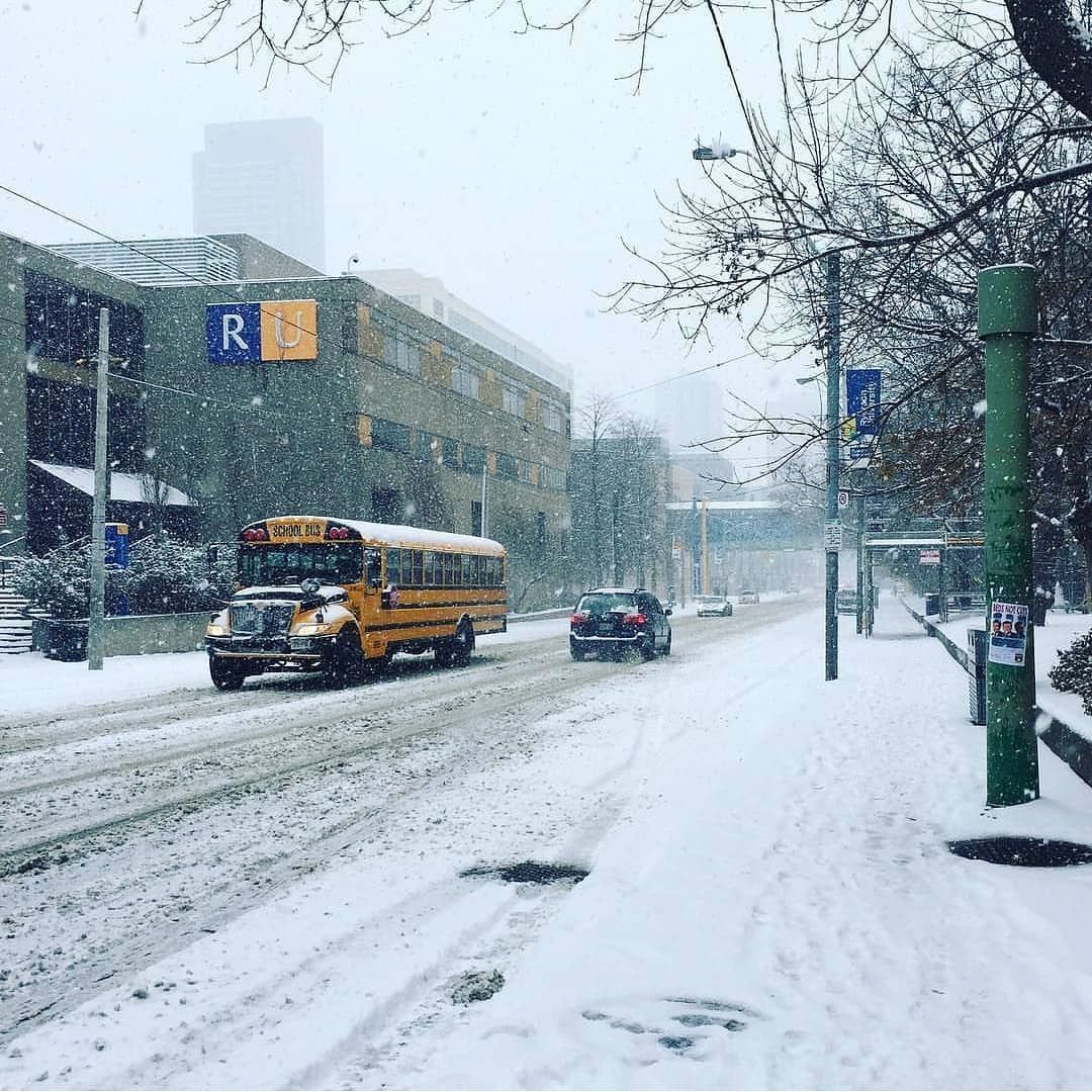 localtorontobiz's tweet photo. #Toronto is about to be hit with a huge dose of winter weather #snow
❄️ Tag your videos with #localtobusiness 📹 to be featured on our #instagram & #twitter handle.
#torontosnow #torontostreets #torontopic #torontophotography #toronto #cityoftoronto https://t.co/xcWXRnjnzE