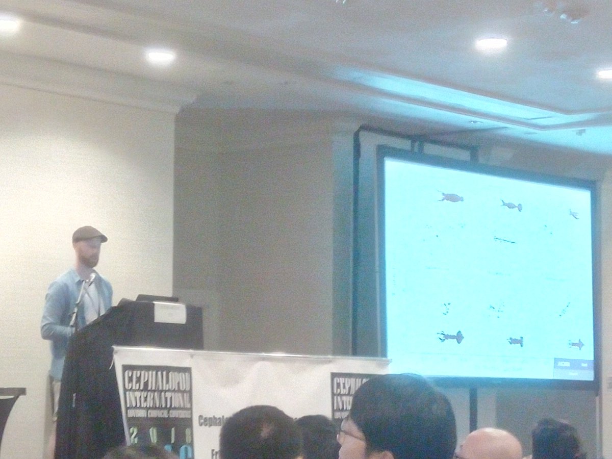 OctoEduardo's tweet photo. @Holistic_Squid with some serious info on how body-size relates to trophic ecology in the deepsea! Awesome! @CIAC_2018 https://t.co/YLHLEEY0Hb