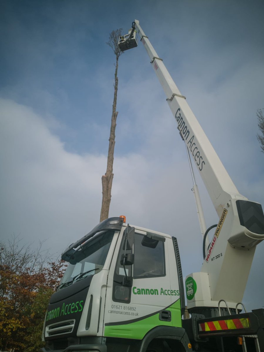kempsterandsons's tweet photo. Made this job a lot safer and easier @CannonAccess #treework #treeservice #treeclimber #arb #arborist #arboriculture #treelife #Petzl #Stihl #climber #trees #London #Essex #platforms #mewp https://t.co/JrTrsDkbHO