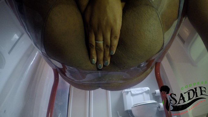 Toilets MUST earn that special treat for waiting patiently! #TOILETSLAVERY #pissplay #GoldenNectar #POV<a href="/tag/goddessworship"class="tags"><span>#goddessworship</span></a><a href="/tag/pov"class="tags"><span>#pov</span></a><a href="/tag/clips4sale"class="tags"><span>#clips4sale</span></a><a href="/tag/toilettraining"class="tags"><span>#toilettraining</span></a>
