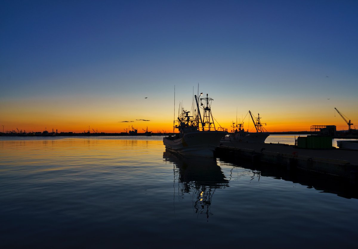 ucchi946's tweet image. 気温-1度の #釧路 です

#Windows10October2018Update
通称1809の配信が再開されたようですが、ウチのPC1台も配信されてないので画面写真はお届けできません💧
いずれにせよ今すぐアップデートしないで様子見ですね♪
実機で確認できたら再度お知らせします！

ご機嫌な一日を♪
#α7RIII #SEL100400GM