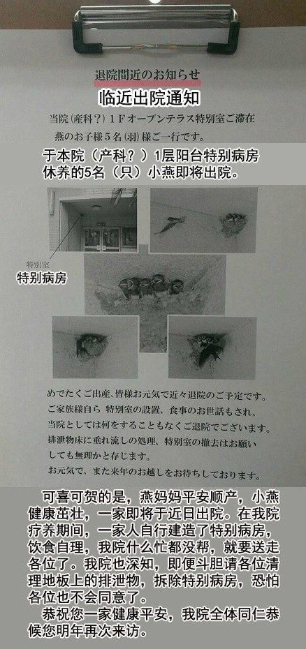朱韵和a Twitteren 小野妹子学吐槽 日本一家医院的阳台上生了一窝小燕 如今春暖花开 燕子们要南飞了 医院院长便贴出了这样一张出院通知
