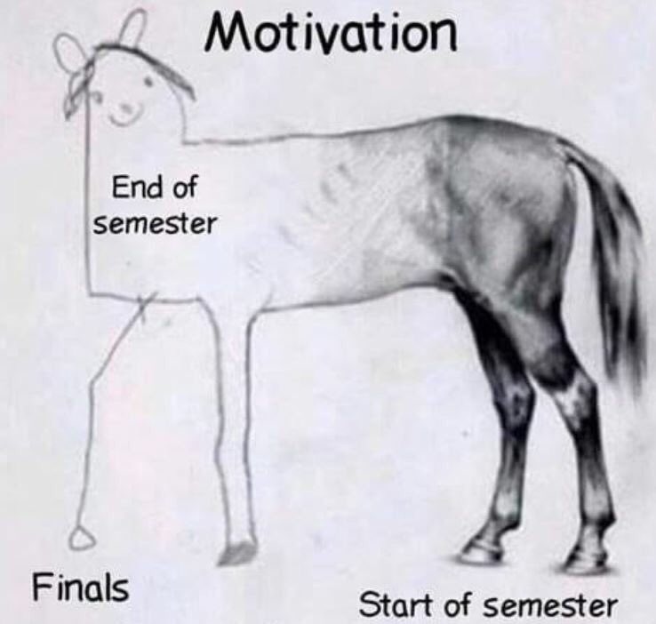 non aesthetic things (@picturesfoider) on Twitter photo 