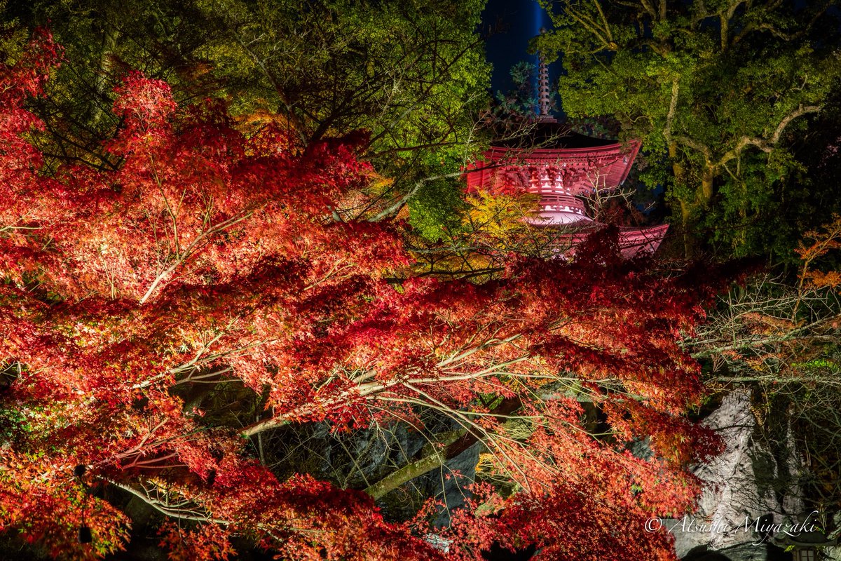 石山寺ライトアップ