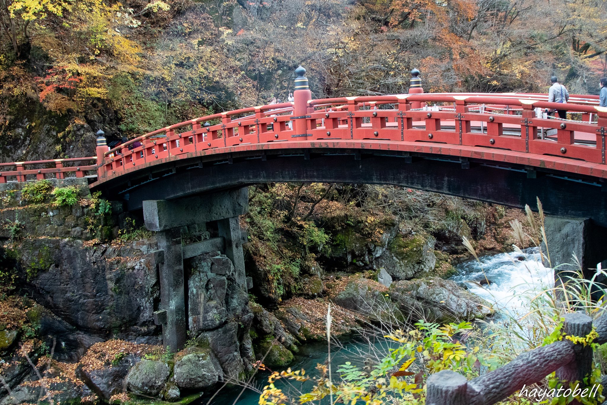 Shinkyo Twitter Search Twitter