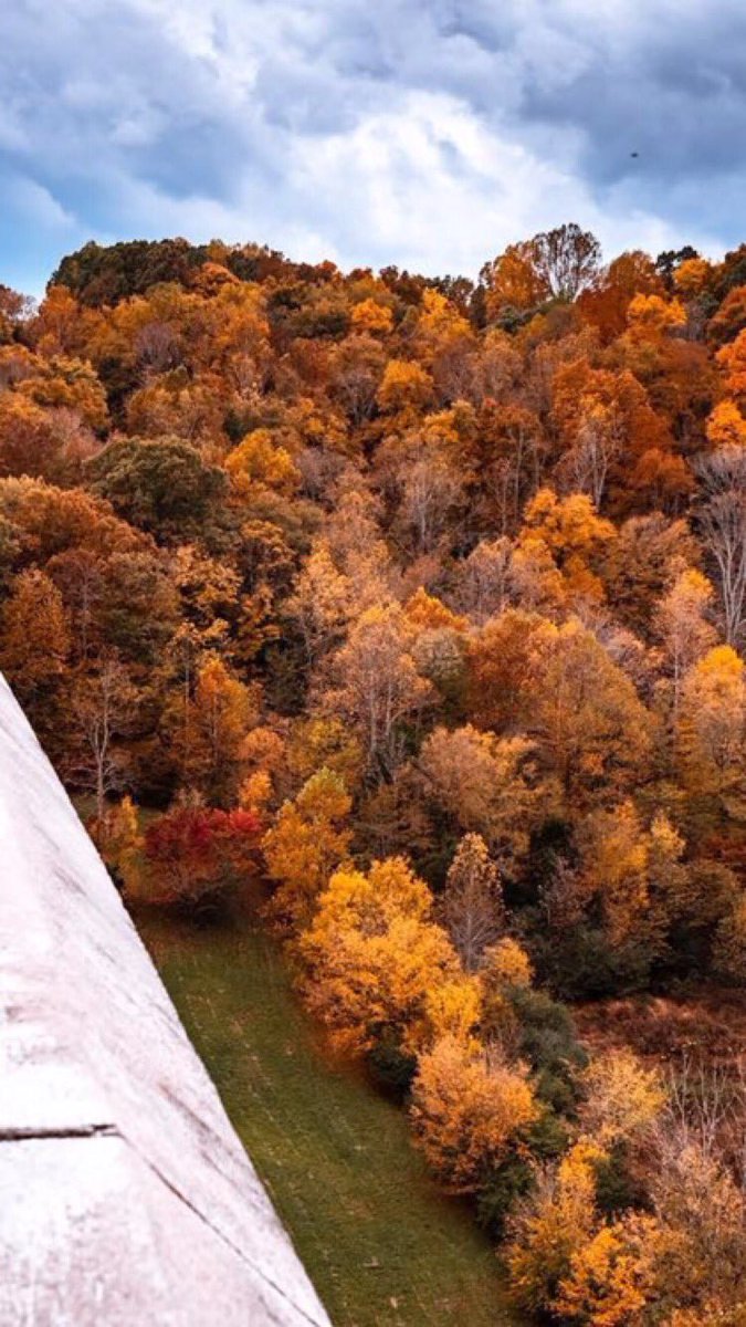 TheNatchezTrace's tweet photo. New Fall Color Report! @NatlParkService ๐ https://t.co/UYurUcAc0n #TheNatchezTrace #falldrives #fallfoliage #nationalpark https://t.co/HbMIsoAC8P