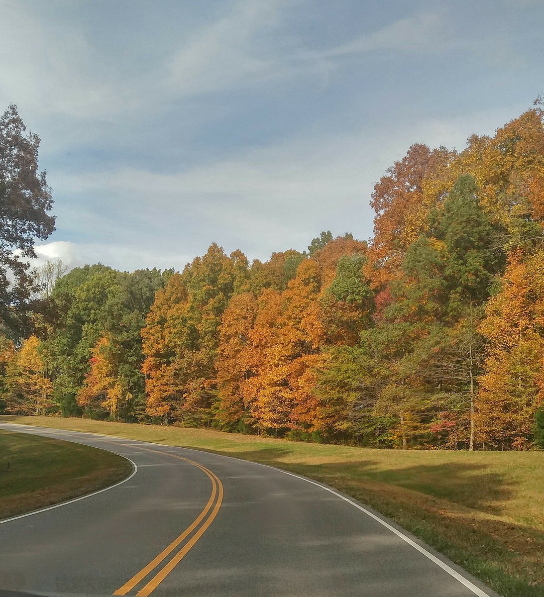 TheNatchezTrace's tweet photo. New Fall Color Report! @NatlParkService ๐ https://t.co/UYurUcAc0n #TheNatchezTrace #falldrives #fallfoliage #nationalpark https://t.co/HbMIsoAC8P