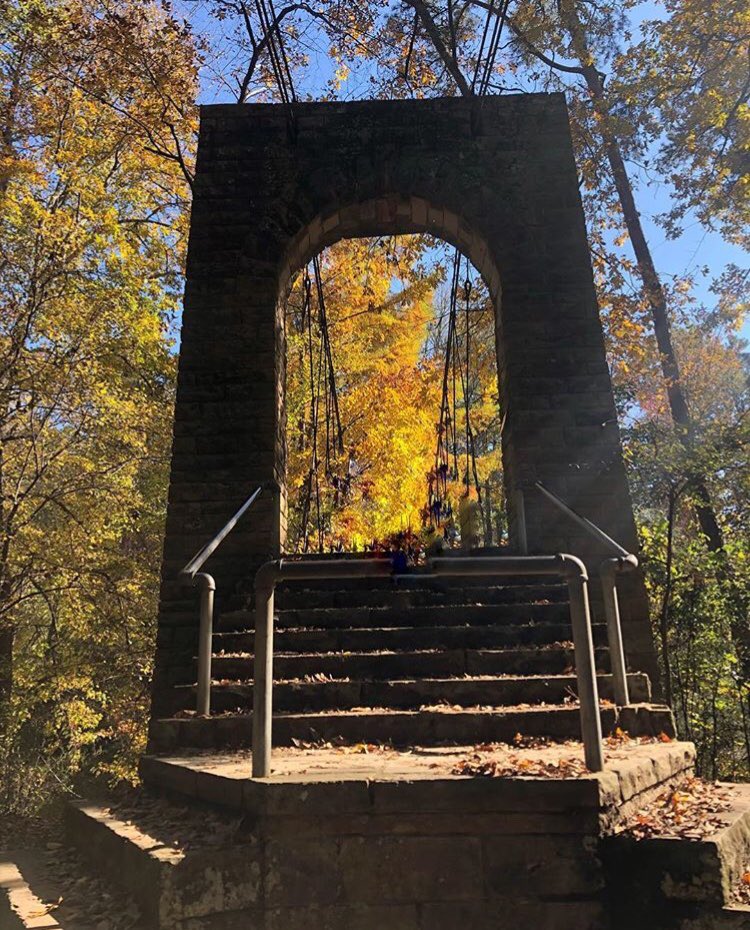 TheNatchezTrace's tweet photo. New Fall Color Report! @NatlParkService ๐ https://t.co/UYurUcAc0n #TheNatchezTrace #falldrives #fallfoliage #nationalpark https://t.co/HbMIsoAC8P
