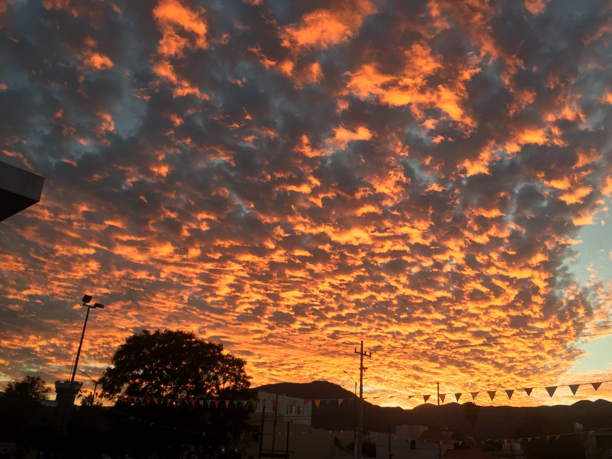 Daaisyco's tweet photo. Ciudad Victoria y sus hermosos atardeceres 🌅😍🙌🏼 https://t.co/3jvvs9Y8F2