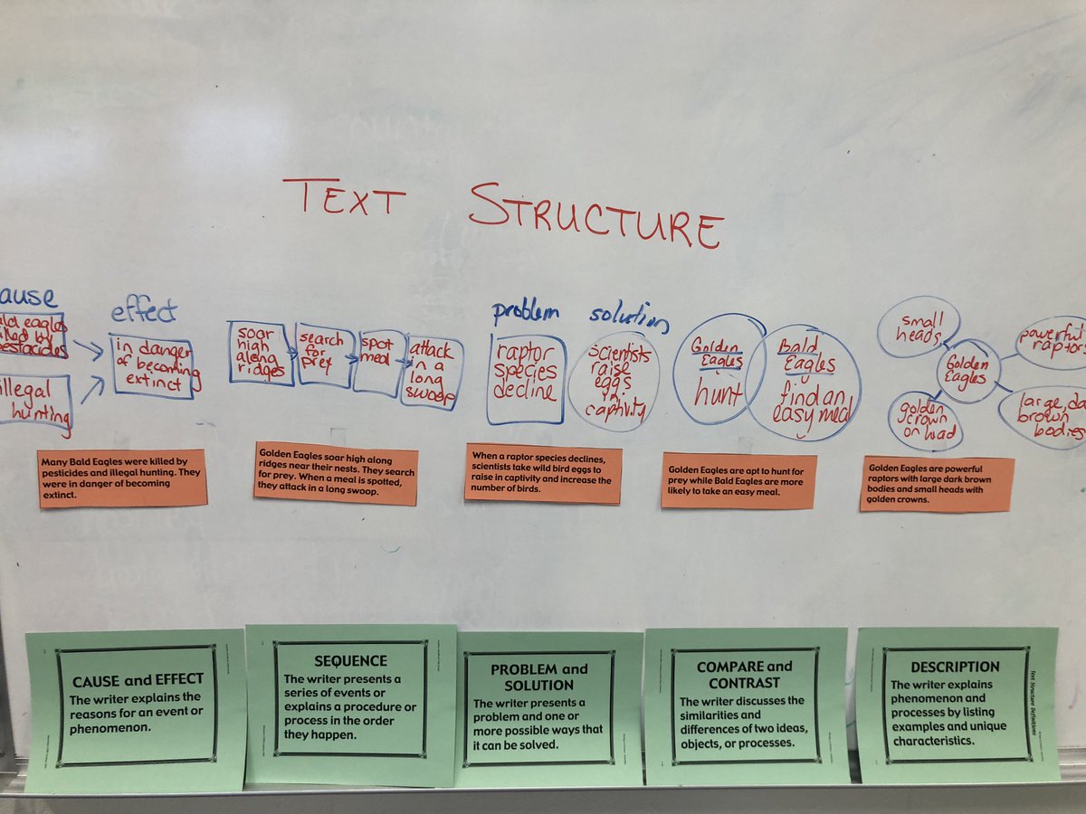 Learning about text structure this week <a href="/WSESSmithfield/">Westside Elementary</a>   #WestsideBestSide