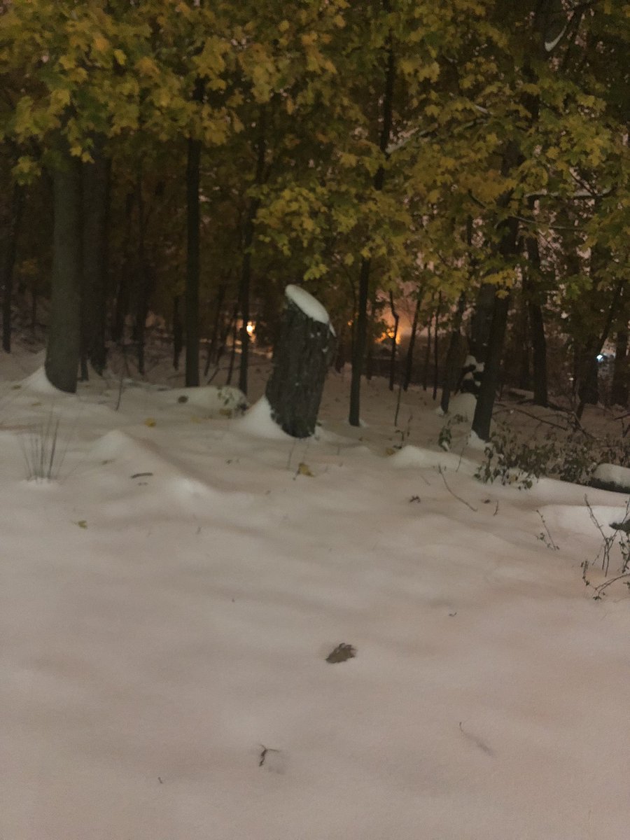 v_bonaccorso's tweet photo. One hour into commute, 2.5 hours into commute, just over 3 hours and I am home with a walk through the woods! https://t.co/tGcTE0dGnk