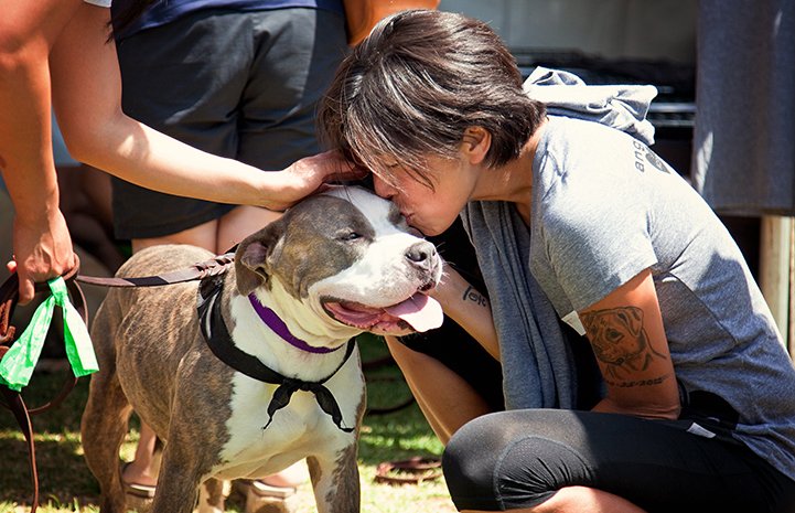 Would you like to be a part of lifesaving work in the southeast? Fostering pets is not only fun, but it’s critical in getting to #NoKill2025. Read about the wonderful experience of fostering and email fosteratl@bestfriends.org to foster today: bit.ly/2DFd2iO. #Atlanta