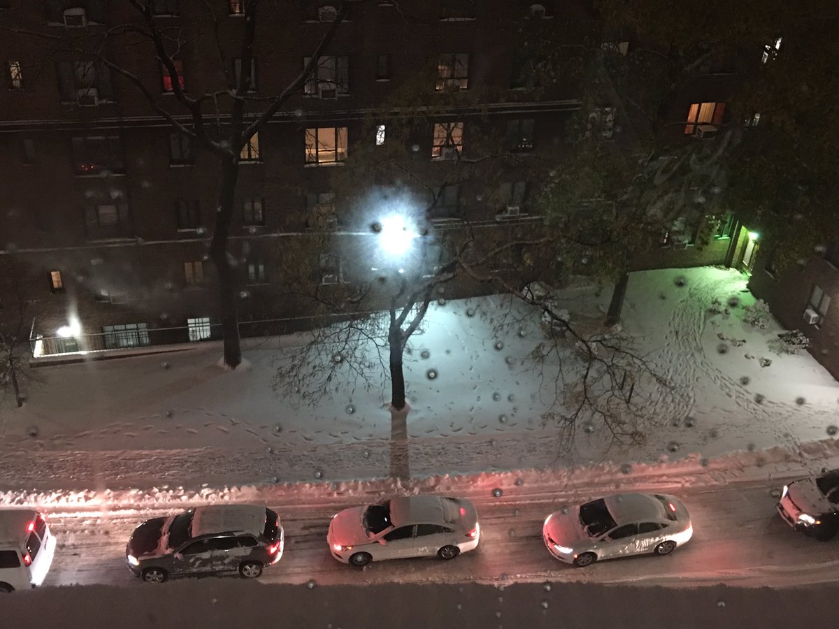 ratulkhan_ny's tweet photo. After the snow https://t.co/XvGKBYdvks