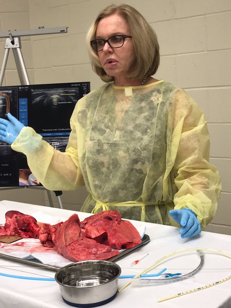 ERebelloMD's tweet photo. Exciting experience learning life saving skills from @CarinHagberg at the @MDAndersonNews Invasive Difficult Airway Workshop #difficutairwayskills #ultrasound #jetventilation #retrogradeintubation #cricothyroidotomy https://t.co/K6SHCSRoue