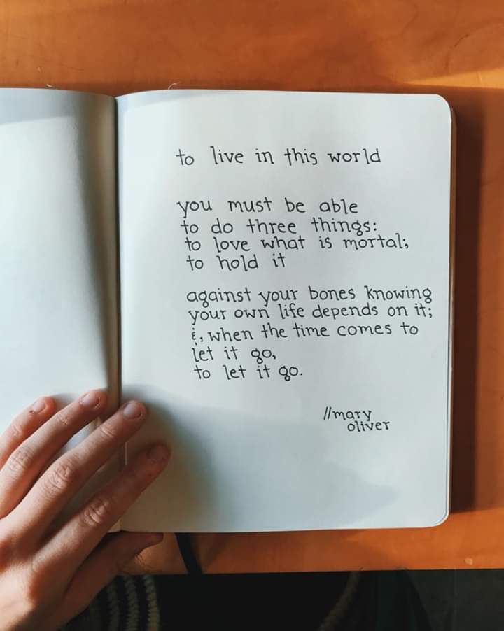 SamsTheory (@samstheorynovel) on Twitter photo 