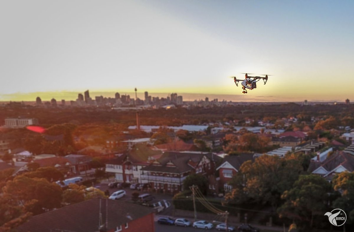 The <a href="/fly_BIRDI/">BIRDI</a> team are #hiringnow !! Come work for the hottest #startup in #Sydney ! #drone #drones #uav #developers #dronepilot #technology bit.ly/2zZcZKb